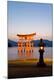 Premium Photographic Print