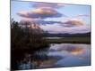 Photographic Print