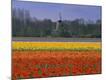 Premium Photographic Print