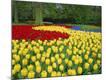 Premium Photographic Print