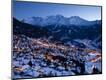 Photographic Print