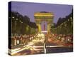 Stretched Canvas Print
