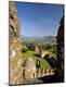 Premium Photographic Print