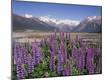 Premium Photographic Print