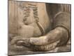 Premium Photographic Print