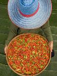 Farmer Selling Chilies, Isan region, Thailand-Gavriel Jecan-Photographic Print