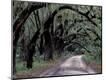 Photographic Print