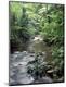 Premium Photographic Print