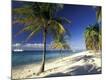 Premium Photographic Print