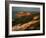 Gay Head Lighthouse, Aquinnah, Martha's Vineyard-Alfred Eisenstaedt-Framed Photographic Print