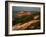 Gay Head Lighthouse, Aquinnah, Martha's Vineyard-Alfred Eisenstaedt-Framed Photographic Print