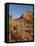 Gayfeather, Palo Duro Canyon State Park, Texas, USA-Larry Ditto-Framed Premier Image Canvas