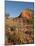 Gayfeather, Palo Duro Canyon State Park, Texas, USA-Larry Ditto-Mounted Photographic Print