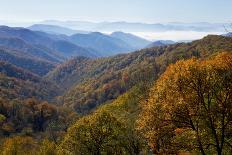 Autumn color in the valley, Great Smoky Mountain National Park, Tennessee-Gayle Harper-Photographic Print