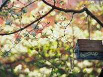Backyard Bird Feeder, Birdhouse and Spring Flowers-Gayle Harper-Photographic Print