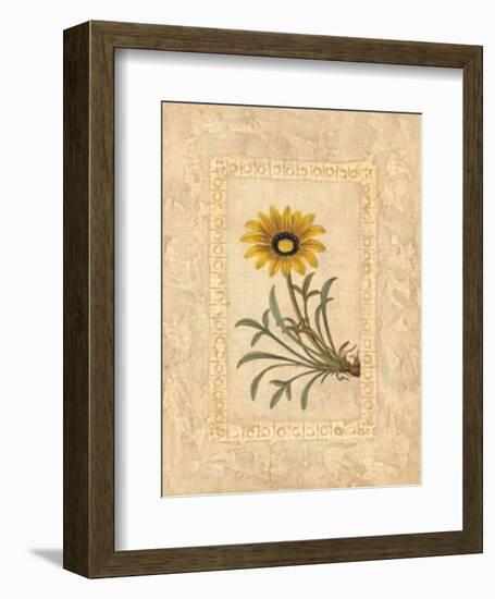 Gazania-Javier Fuentes-Framed Art Print