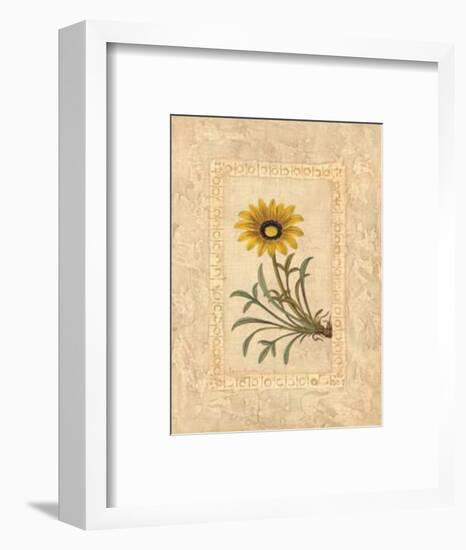 Gazania-Javier Fuentes-Framed Art Print