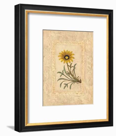 Gazania-Javier Fuentes-Framed Art Print