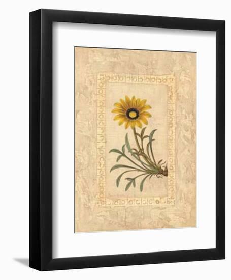 Gazania-Javier Fuentes-Framed Art Print