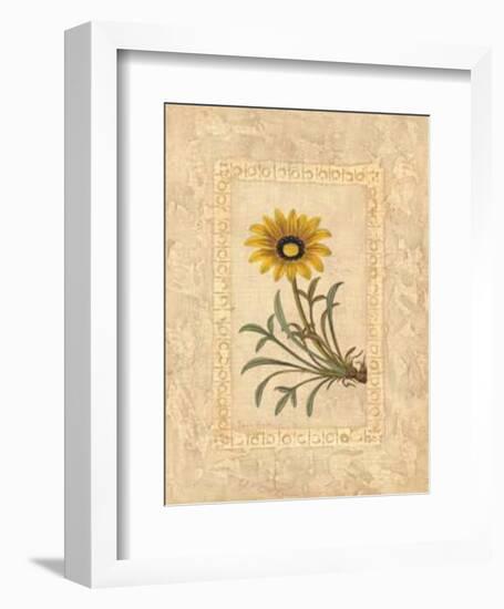 Gazania-Javier Fuentes-Framed Art Print