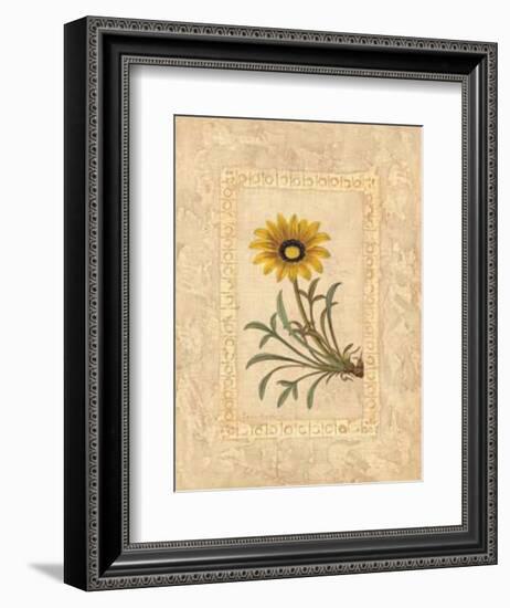 Gazania-Javier Fuentes-Framed Art Print