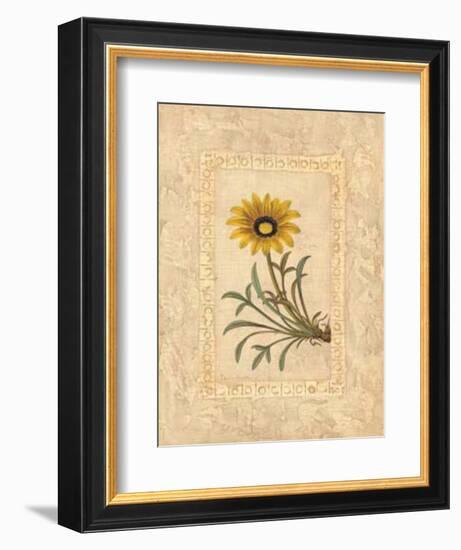 Gazania-Javier Fuentes-Framed Art Print