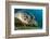 Gaze-Dmitry Marchenko-Framed Photographic Print