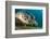 Gaze-Dmitry Marchenko-Framed Photographic Print