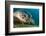 Gaze-Dmitry Marchenko-Framed Photographic Print