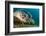 Gaze-Dmitry Marchenko-Framed Photographic Print