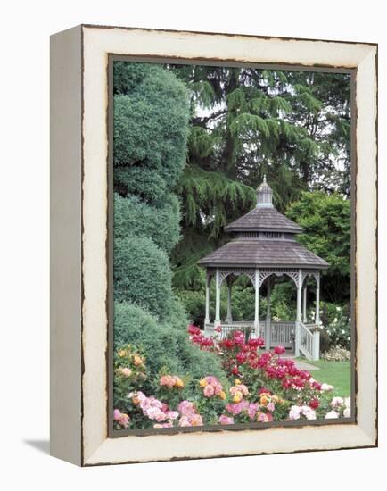 Gazebo and Roses in Bloom at the Woodland Park Zoo Rose Garden, Washington, USA-null-Framed Premier Image Canvas