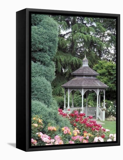 Gazebo and Roses in Bloom at the Woodland Park Zoo Rose Garden, Washington, USA-null-Framed Premier Image Canvas