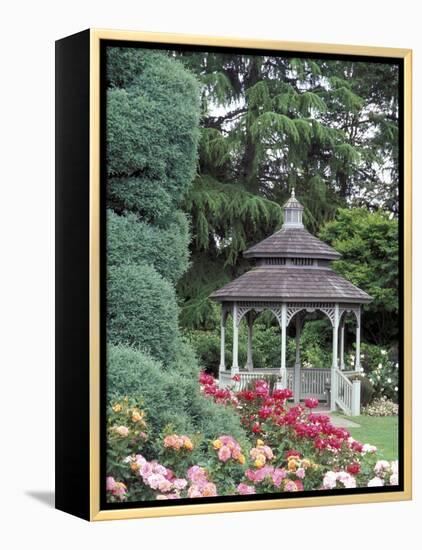 Gazebo and Roses in Bloom at the Woodland Park Zoo Rose Garden, Washington, USA-null-Framed Premier Image Canvas