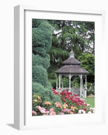 Gazebo and Roses in Bloom at the Woodland Park Zoo Rose Garden, Washington, USA-null-Framed Photographic Print