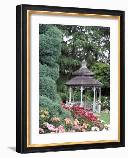 Gazebo and Roses in Bloom at the Woodland Park Zoo Rose Garden, Washington, USA-null-Framed Photographic Print