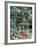 Gazebo and Roses in Bloom at the Woodland Park Zoo Rose Garden, Washington, USA-null-Framed Photographic Print