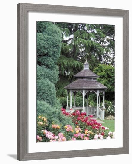 Gazebo and Roses in Bloom at the Woodland Park Zoo Rose Garden, Washington, USA-null-Framed Photographic Print