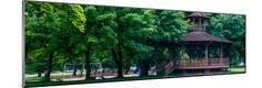 Photographic Print