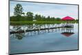 Premium Photographic Print