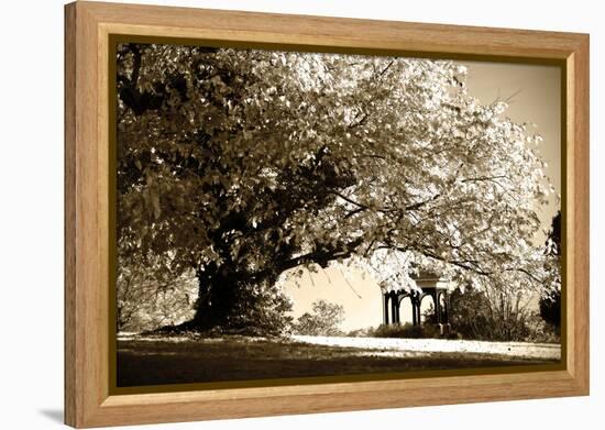 Gazebo-Alan Hausenflock-Framed Premier Image Canvas