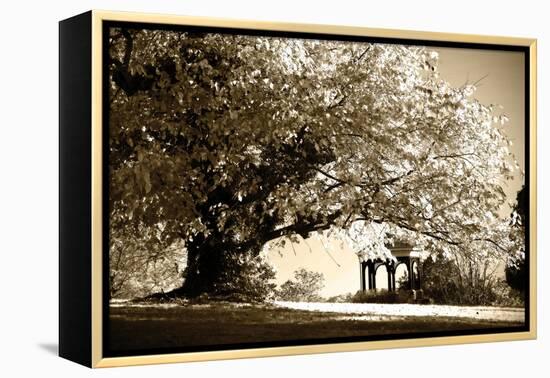 Gazebo-Alan Hausenflock-Framed Premier Image Canvas