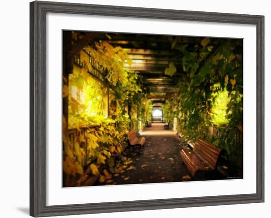 Gazebo-Irene Suchocki-Framed Photographic Print