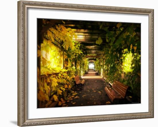 Gazebo-Irene Suchocki-Framed Photographic Print