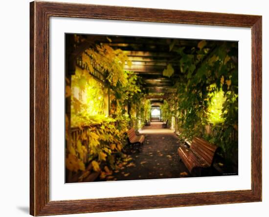 Gazebo-Irene Suchocki-Framed Photographic Print