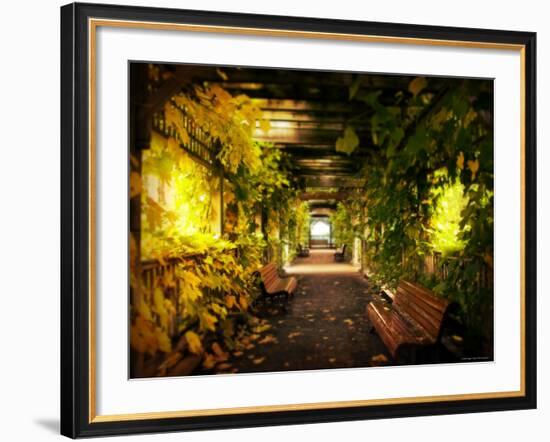 Gazebo-Irene Suchocki-Framed Photographic Print