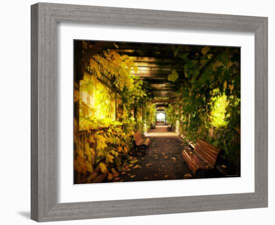 Gazebo-Irene Suchocki-Framed Photographic Print