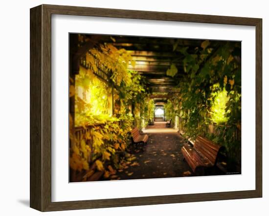 Gazebo-Irene Suchocki-Framed Photographic Print