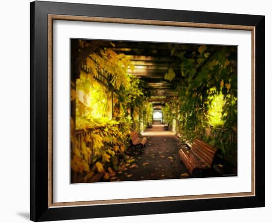 Gazebo-Irene Suchocki-Framed Photographic Print