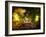 Gazebo-Irene Suchocki-Framed Photographic Print