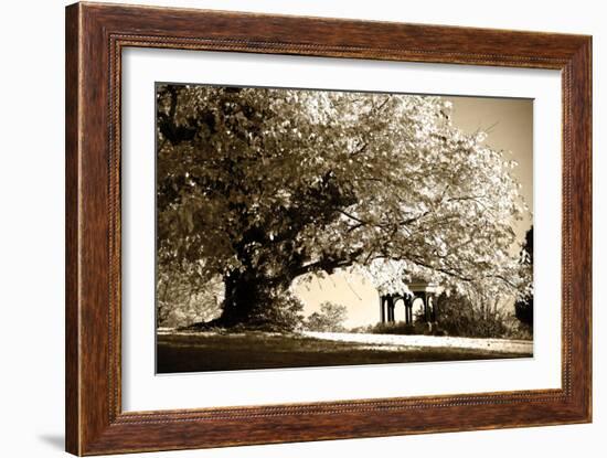 Gazebo-Alan Hausenflock-Framed Photographic Print